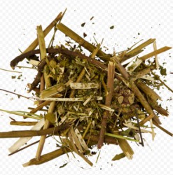 Володушка золотистая 1 шт. 50 г