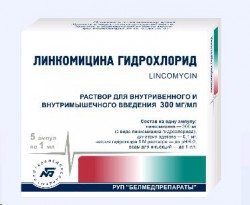 >Линкомицина гидрохлорид р-р д/инф. и в/м введ. 300 мг/мл 1 мл №10 ампулы