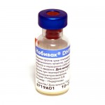 Нобивак DHPPI, лиофилизированный порошок для раствора + средство для  раствора 1 доза 0,5см3 + 1мл 1 шт вакцина против чумы плотоядных инфекционного гепатита парвовирусного энтерита и парагриппа собак