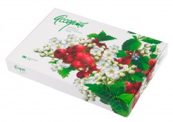 Набор подарочный Целебное ассорти из алтайских трав