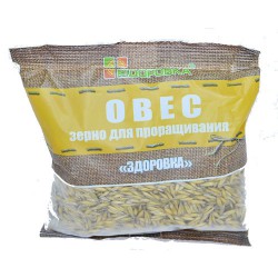 Зерно для проращивания 300 г Овес