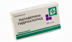 Папаверина гидрохлорид, р-р д/ин. 20 мг/мл 2 мл №10 ампулы