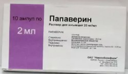Папаверин, р-р д/ин. 20 мг/мл 2 мл №10 ампулы